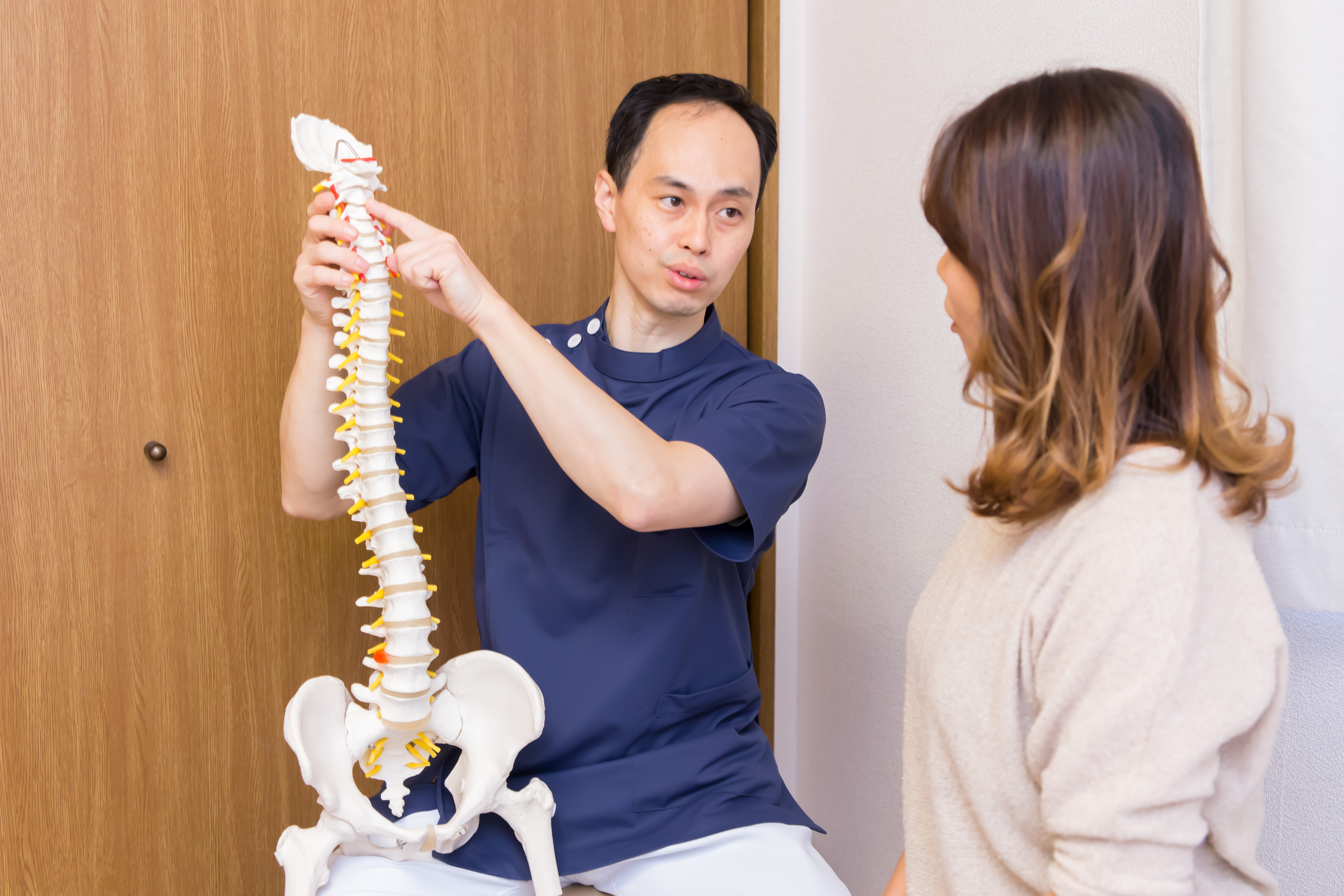 骨格模型を指しながら、院長がお客様に直接説明している様子
